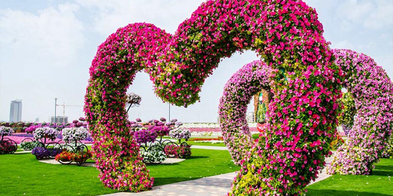 Dubai Miracle Garden